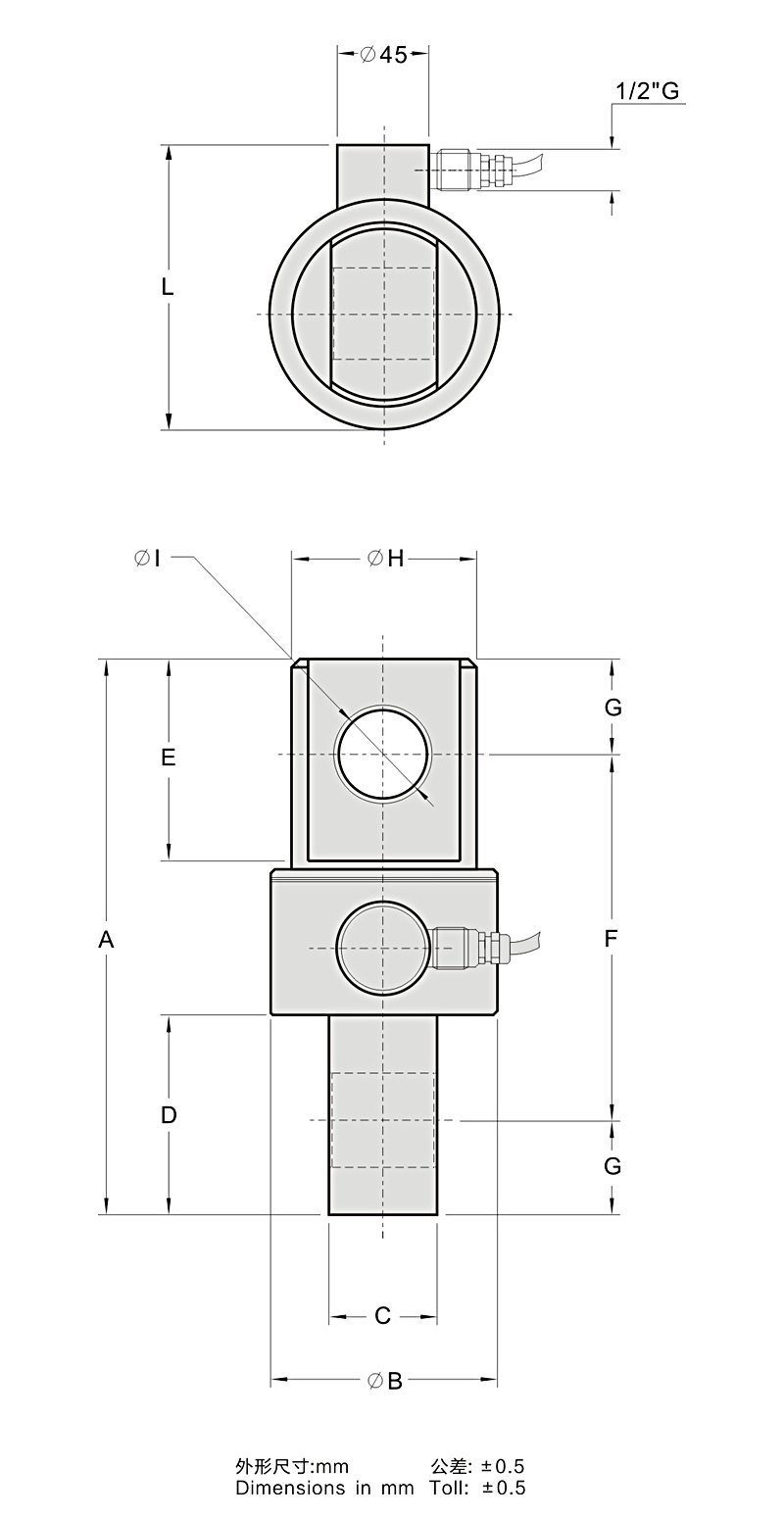 1574158609939975.jpg 05a.jpg